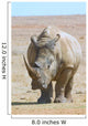 African white rhino with very large horn Wall Mural