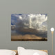 Thunderstom clouds in the sky above a Haboob Wall Mural