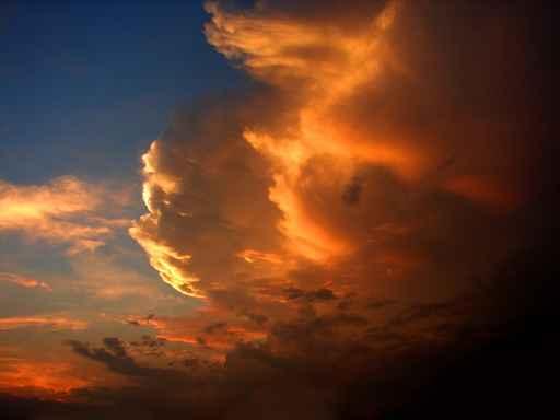 Dawn Sky Wall Decal