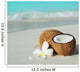 coconut Wall Mural