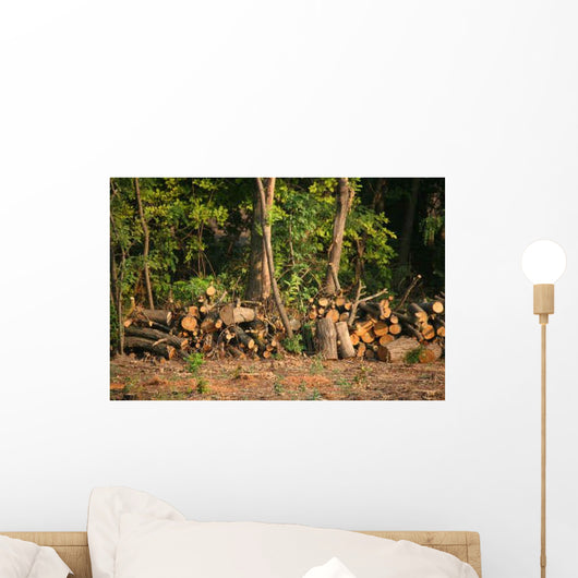 Chopped Firewood under Trees Wall Decal