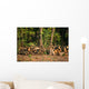 Chopped Firewood under Trees Wall Decal