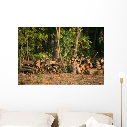 Chopped Firewood under Trees Wall Decal