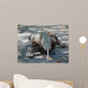 Komodo dragon on the march Wall Mural