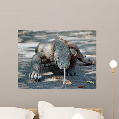 Komodo Dragon March Wall Mural shown on a wall