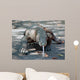 Komodo dragon on the march Wall Mural