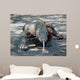 Komodo dragon on the march Wall Mural