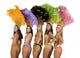 Carnival Dancers Wall Decal