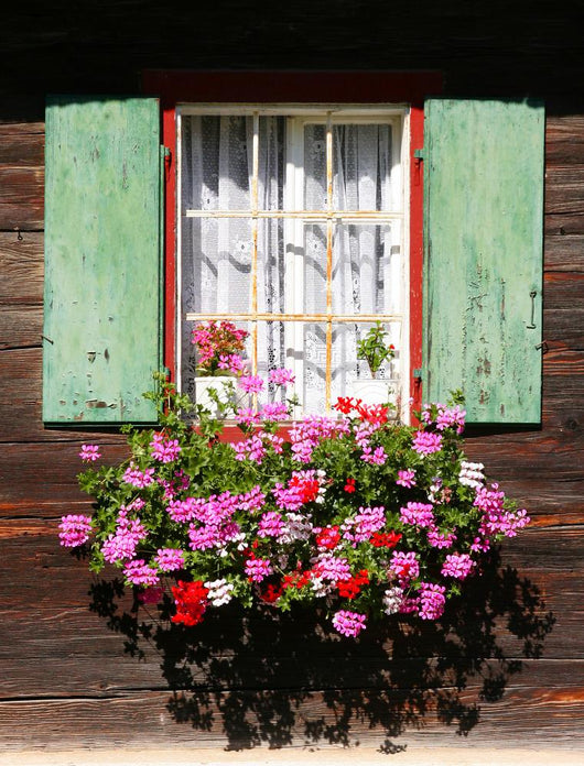 Blumenfenster Wall Mural