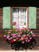 Blumenfenster Wall Mural