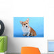Pembroke Welsh Corgi Puppy Wall Mural