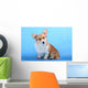 Pembroke Welsh Corgi Puppy Wall Mural