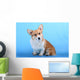Pembroke Welsh Corgi Puppy Wall Mural
