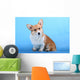 Pembroke Welsh Corgi Puppy Wall Mural