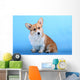 Pembroke Welsh Corgi Puppy Wall Mural