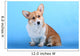 Pembroke Welsh Corgi Puppy Wall Mural
