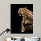 animal portrait leopard Wall Mural