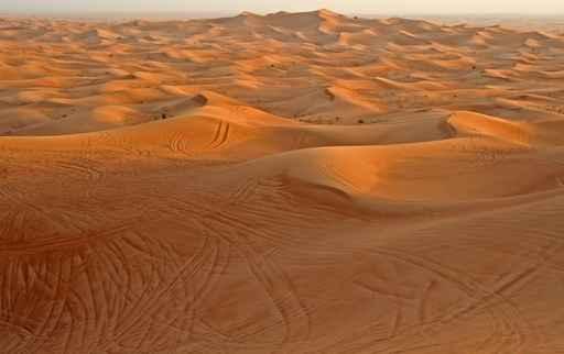 Desert Wall Decal Design 2