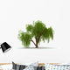 Weeping Willow Wall Decal