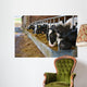 Cows feeding from a trough of hay Wall Mural