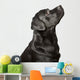 Black Labrador Looks Upwards Wall Decal