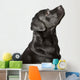Black Labrador Looks Upwards Wall Decal