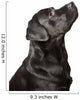 Black Labrador Looks Upwards Wall Decal