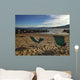 enjoying lake tahoe view Wall Mural
