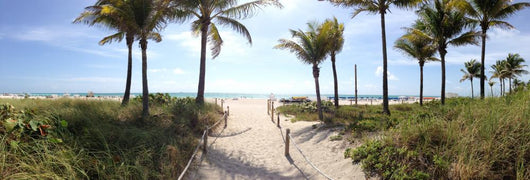Miami Beach Panorama Wall Decal