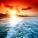 Ocean Sunrice Wall Mural