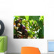 Grapes Wall Mural
