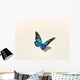 Butterfly Wall Decal