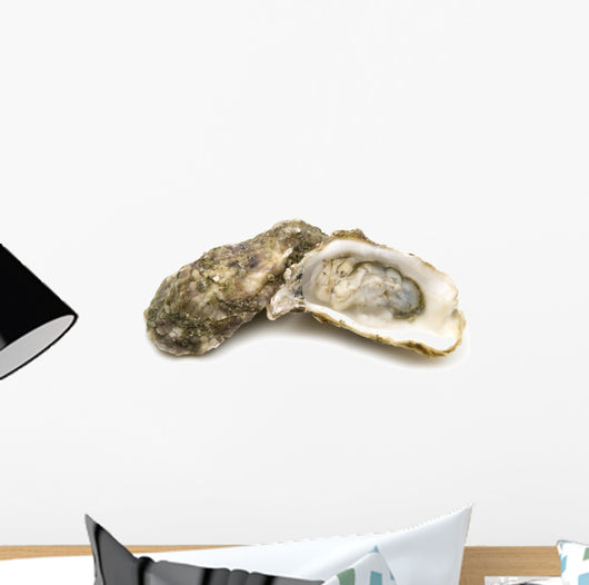opened oysters on white background Wall Decal