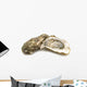 opened oysters on white background Wall Decal