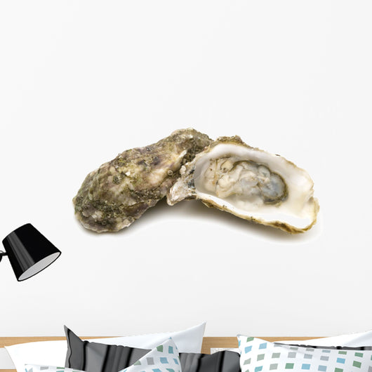 opened oysters on white background Wall Decal