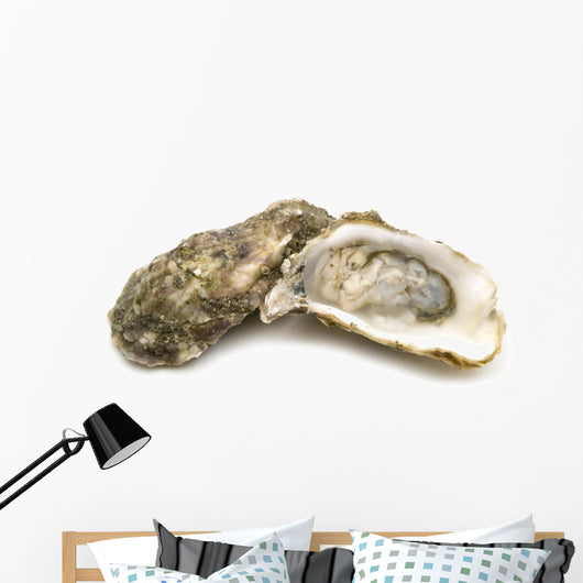 opened oysters on white background Wall Decal
