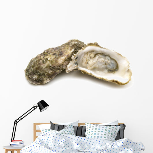 opened oysters on white background Wall Decal
