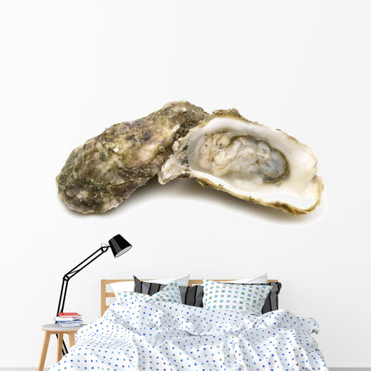 opened oysters on white background Wall Decal