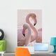 Flamingos Wall Mural