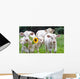 White Dairy Cows Wall Decal