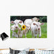 White Dairy Cows Wall Decal