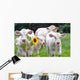 White Dairy Cows Wall Decal