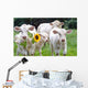 White Dairy Cows Wall Decal