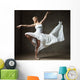 Beautifully Flowing Ballet Dancer Wall Decal