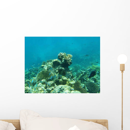 Maldives Wall Decal