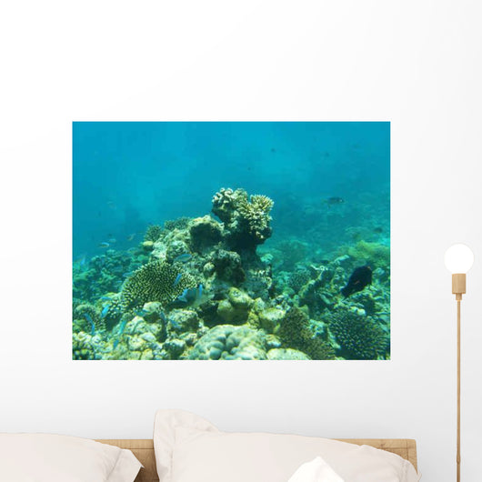 Maldives Wall Decal