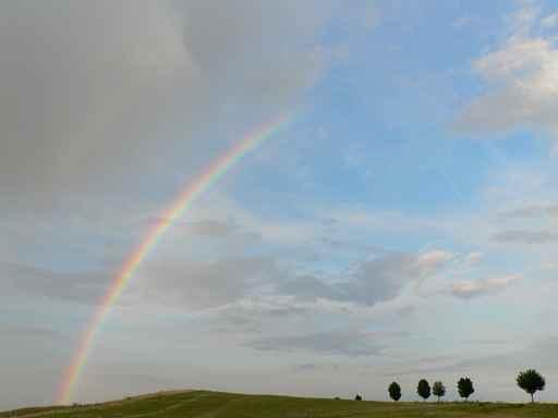 Rainbow Hills Wall Decal