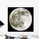 Full Moon Spring Equinox Wall Decal
