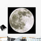 Full Moon Spring Equinox Wall Decal