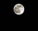 Full Moon Spring Equinox Wall Decal